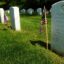 Memorial Day 2024: Not Just Another Holiday