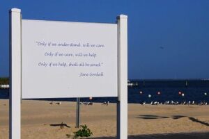 A Short Message – Truth