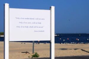 A Short Message – Truth