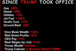 Promises Made – Fools Played